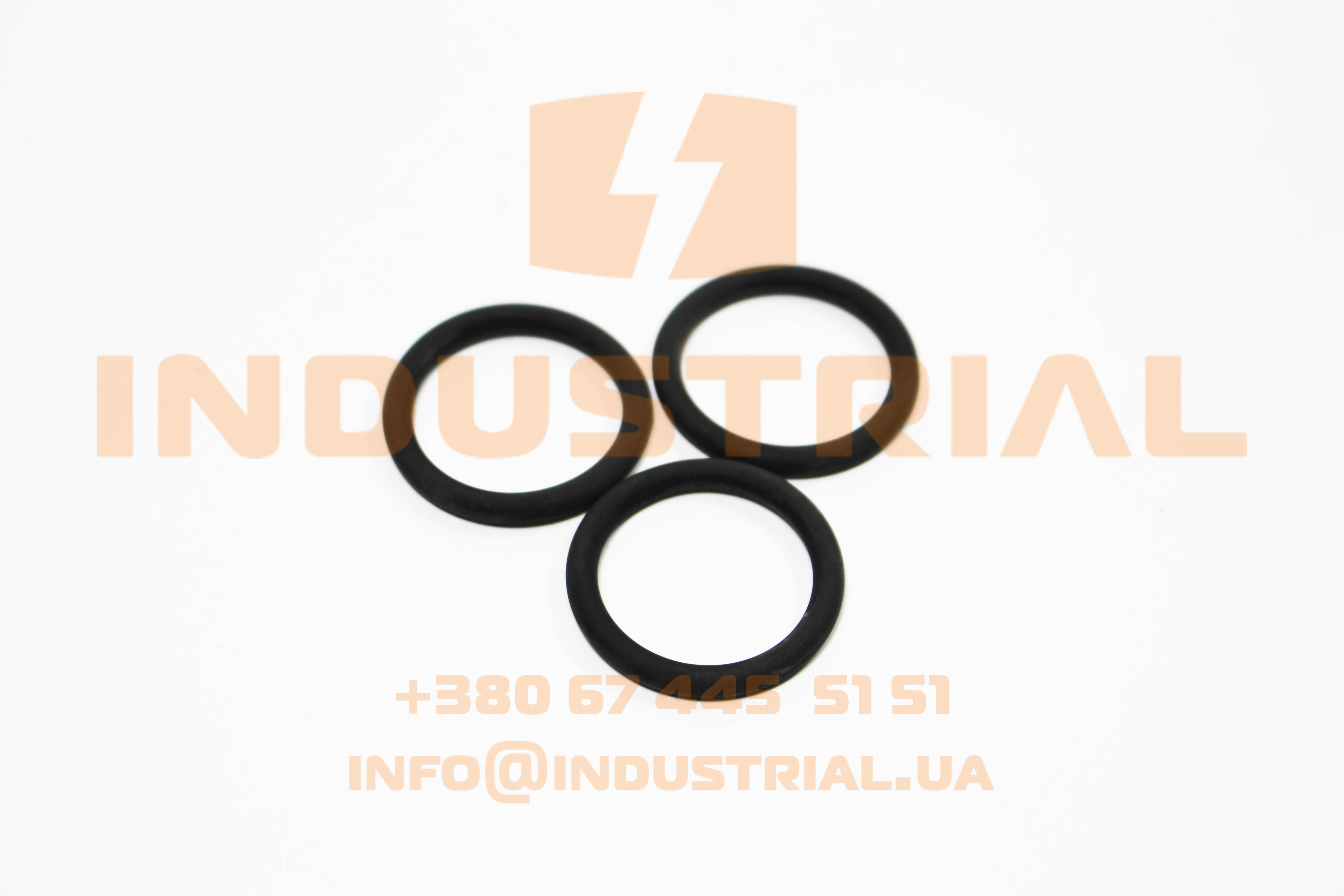 ZFP 2995836 ZF